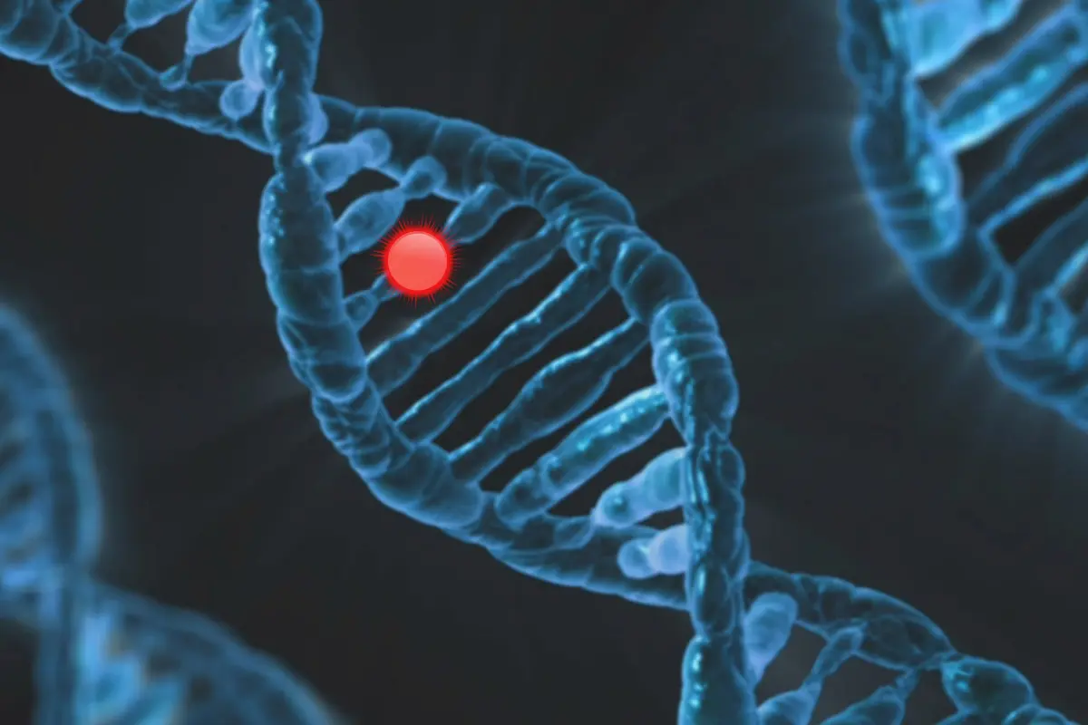 Personalized Medicine and Genetic Testing at Home